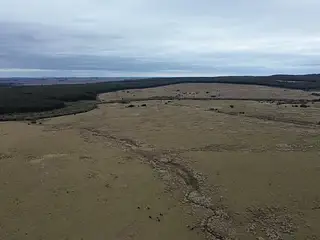 Retamosa, ganadero-forestal