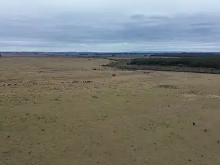 Retamosa, ganadero-forestal