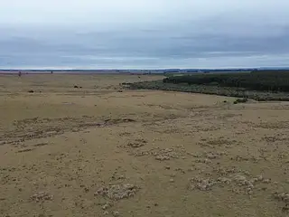 Retamosa, ganadero-forestal
