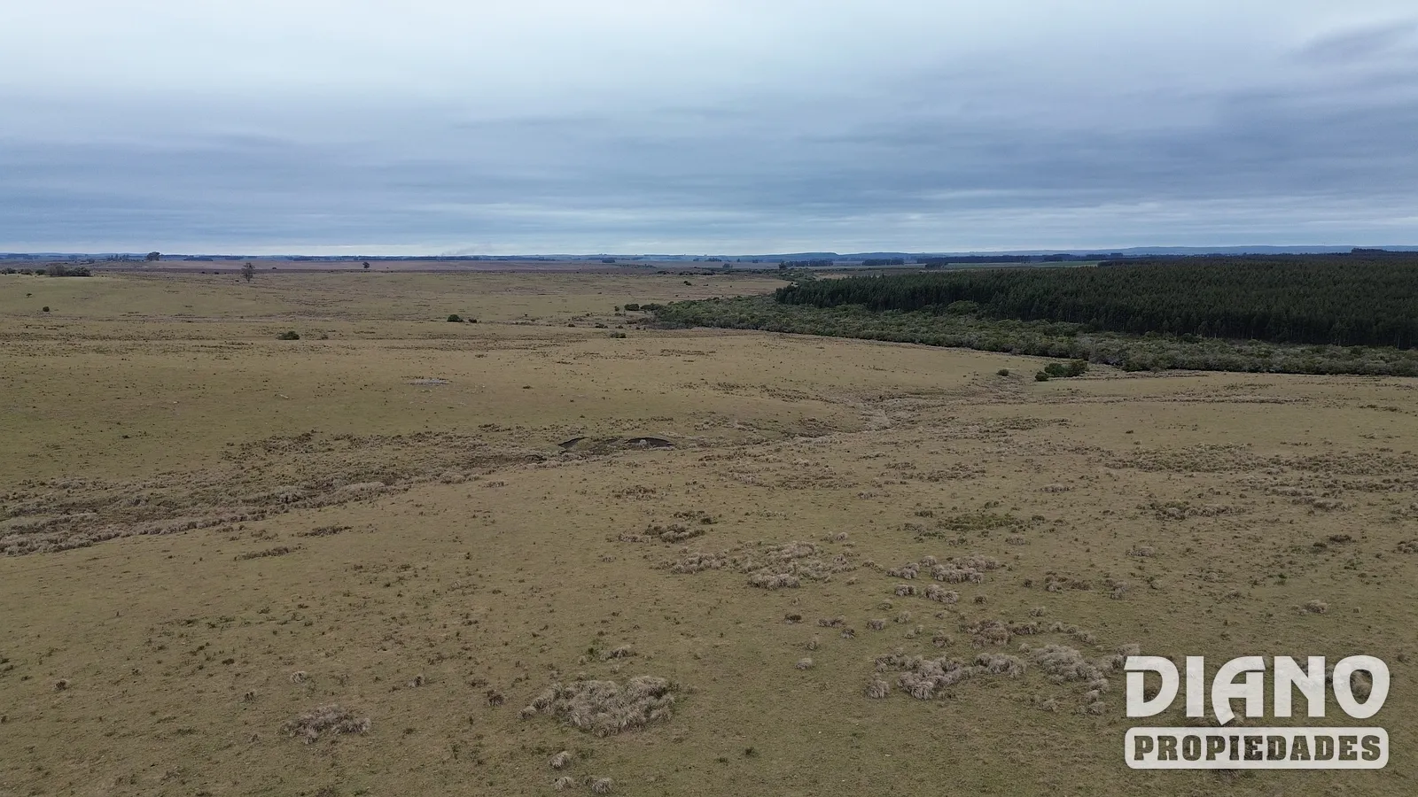 Retamosa, ganadero-forestal