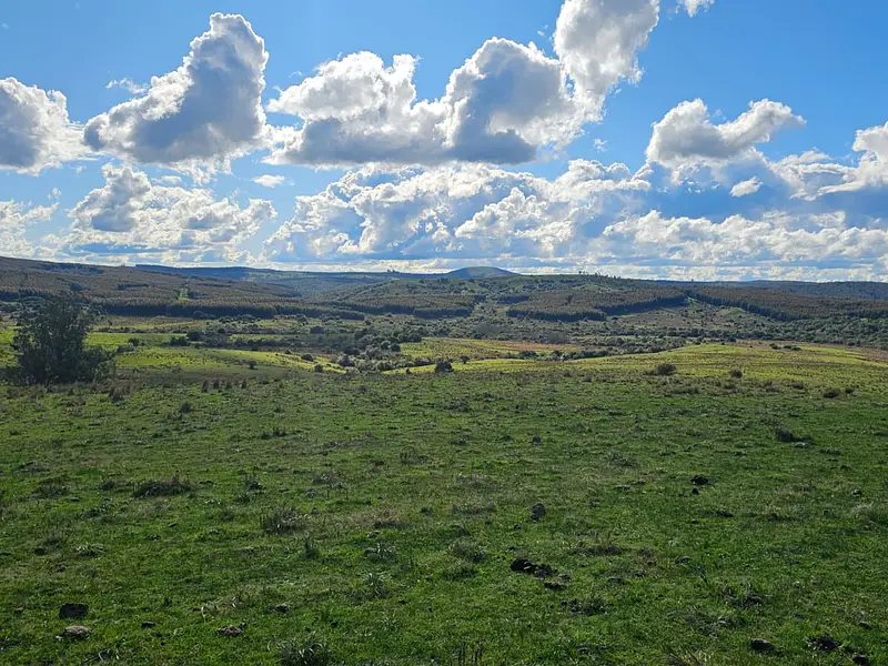 Molles de Aiguá, costas de arroyo