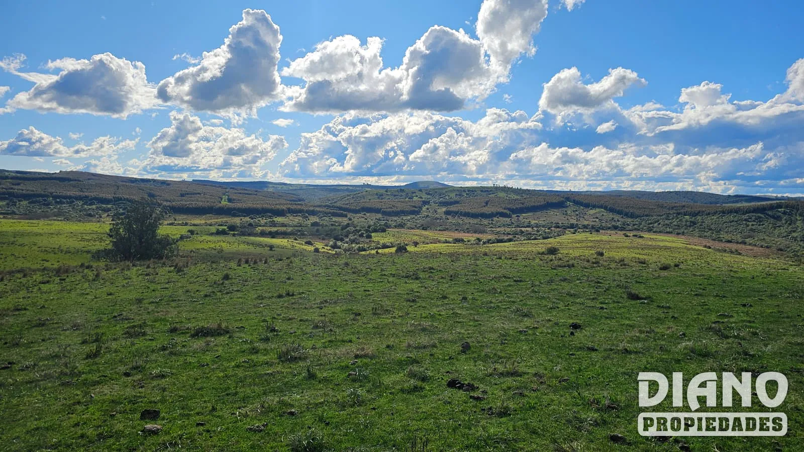 Molles de Aiguá, costas de arroyo