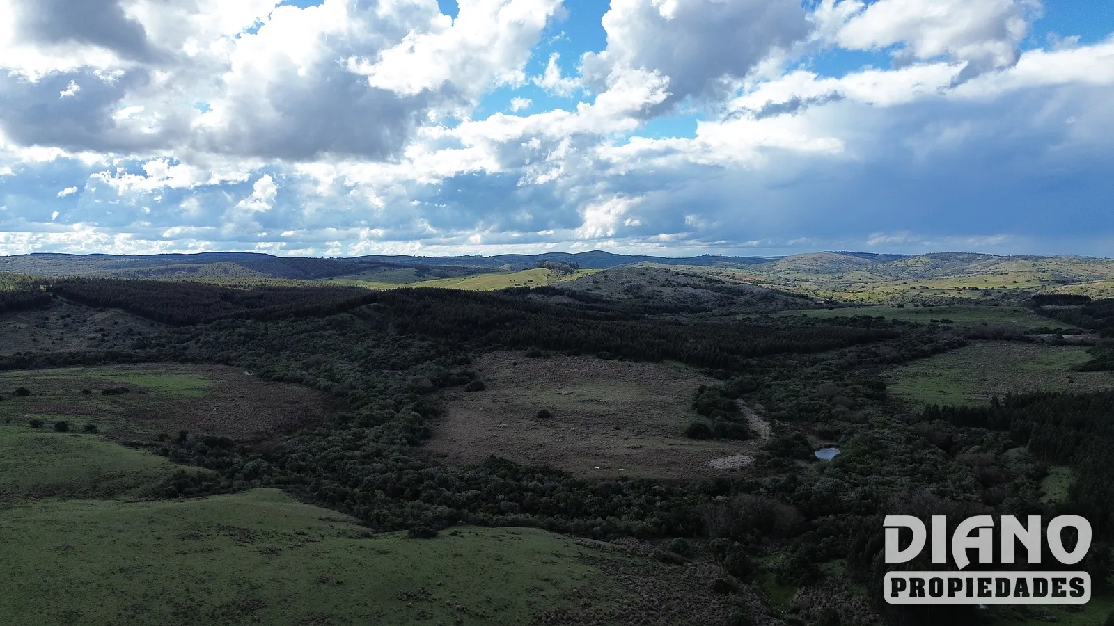 Molles de Aiguá, costas de arroyo