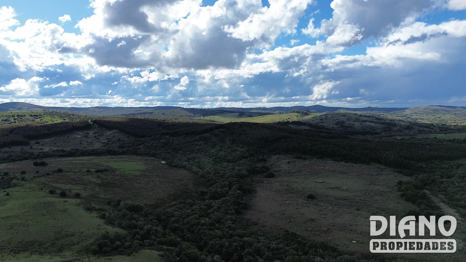 Molles de Aiguá, costas de arroyo