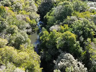 Molles de Aiguá, costas de arroyo