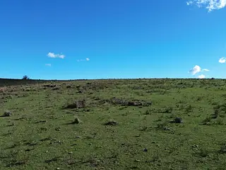 Molles de Aiguá, costas de arroyo