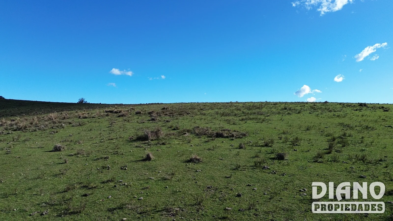 Molles de Aiguá, costas de arroyo