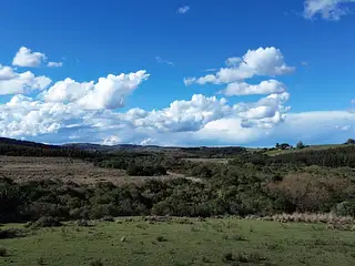 Molles de Aiguá, costas de arroyo
