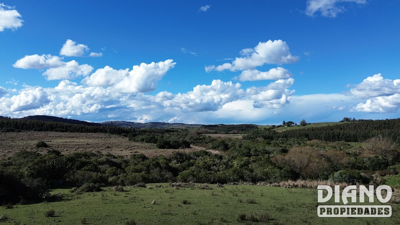 Molles de Aiguá, costas de arroyo