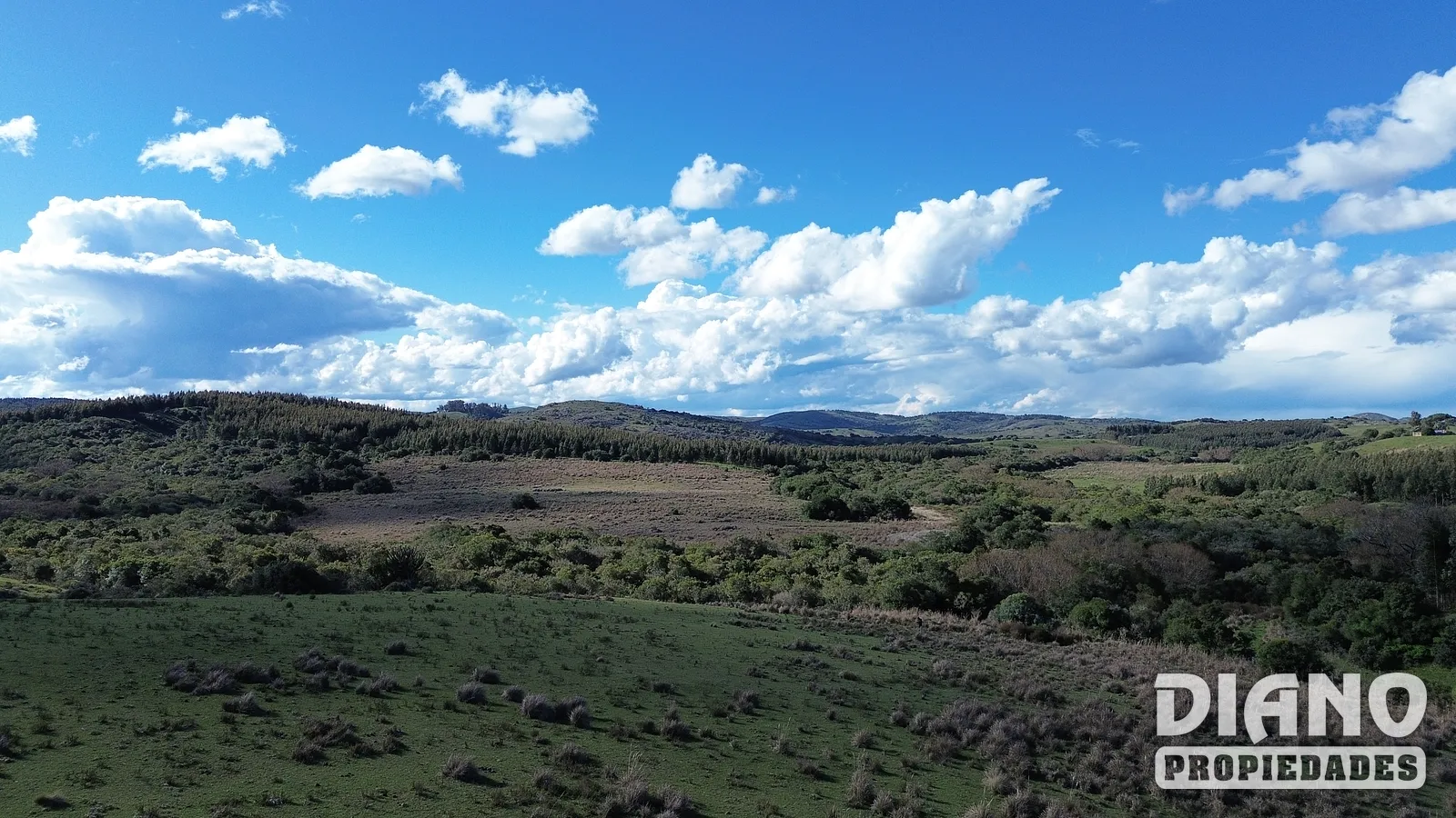 Molles de Aiguá, costas de arroyo