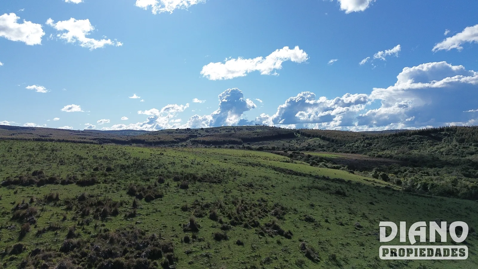Molles de Aiguá, costas de arroyo