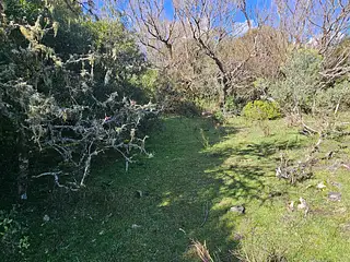 Molles de Aiguá, costas de arroyo