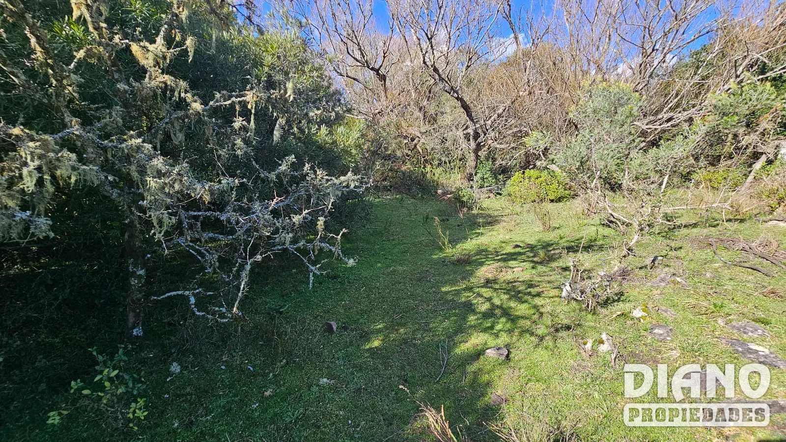 Molles de Aiguá, costas de arroyo