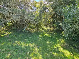Molles de Aiguá, costas de arroyo