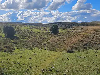 Molles de Aiguá, costas de arroyo