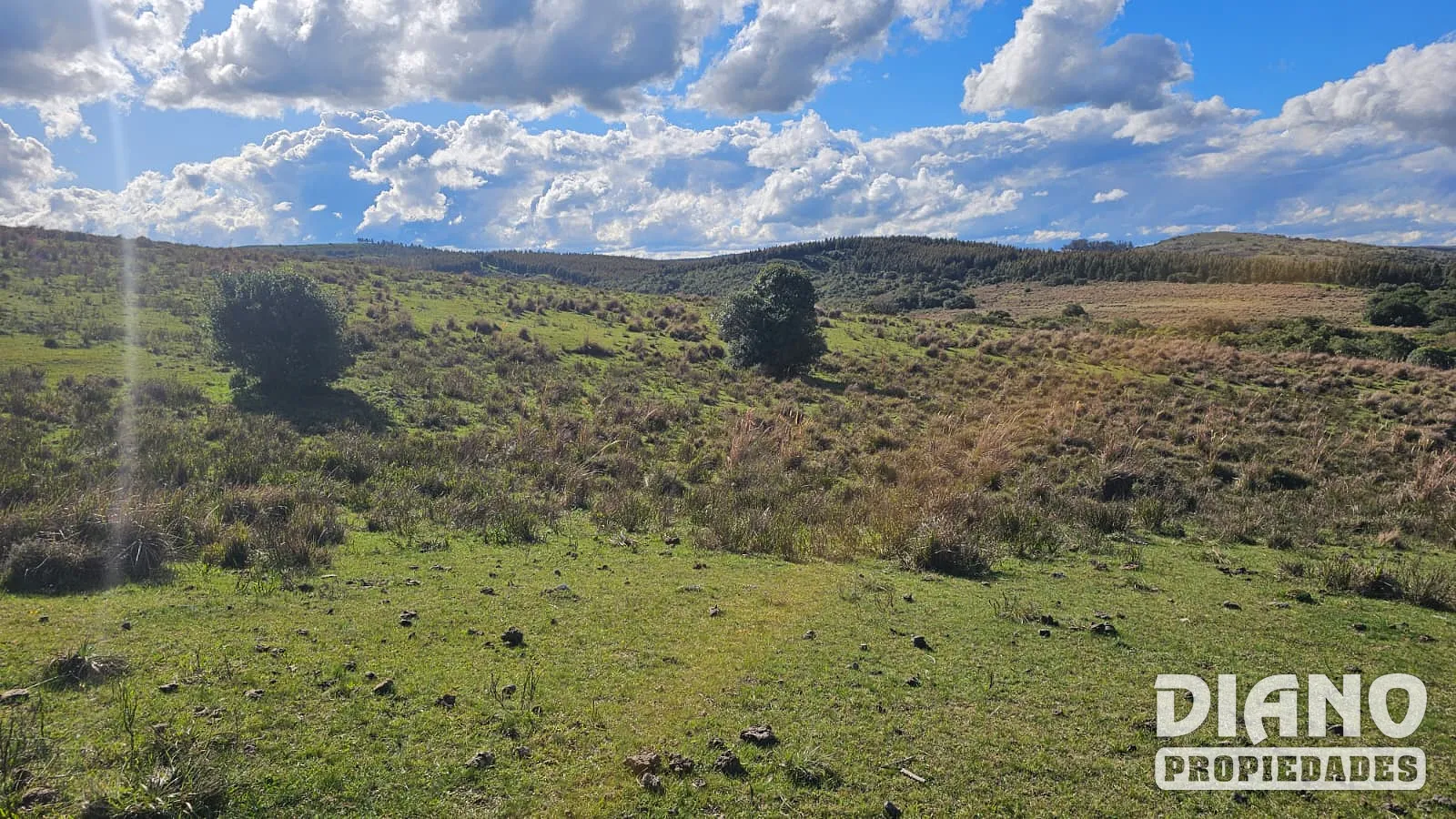 Molles de Aiguá, costas de arroyo