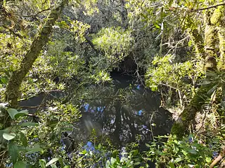 Molles de Aiguá, costas de arroyo