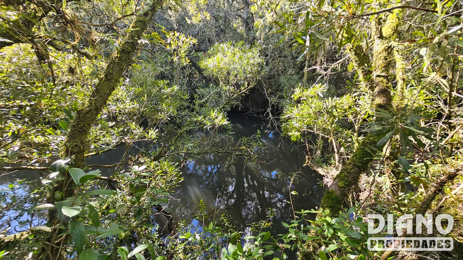 Molles de Aiguá, costas de arroyo