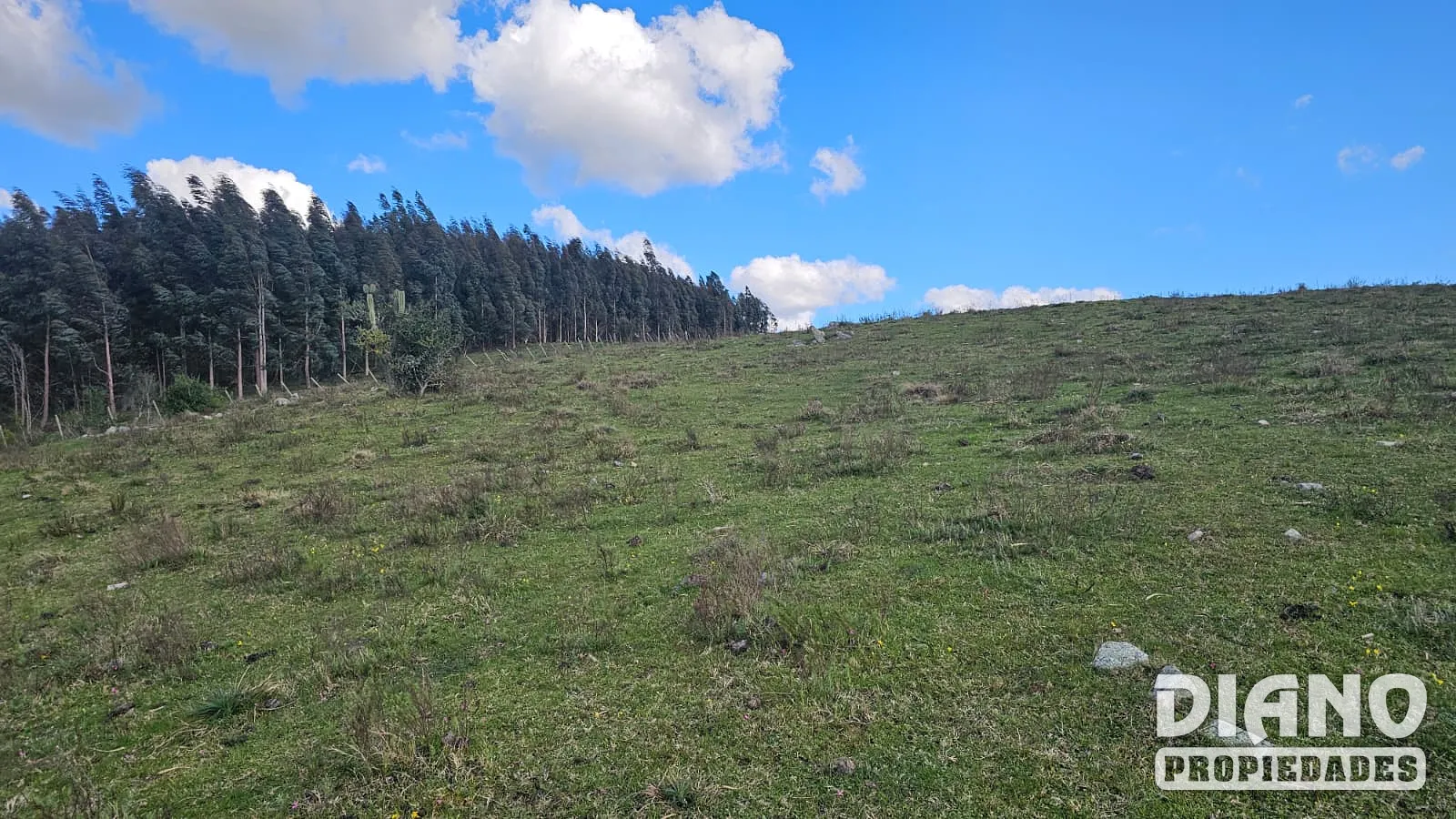 Molles de Aiguá, costas de arroyo