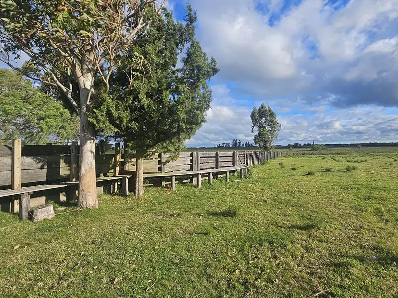 Campo agrícola, Estación Solís