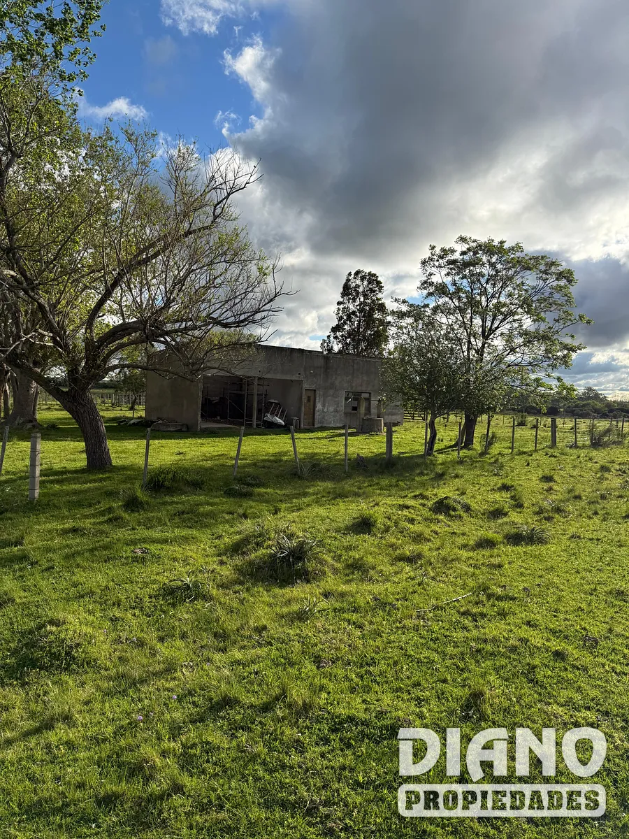 Campo agrícola, Estación Solís
