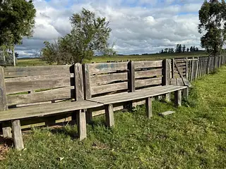 Campo agrícola, Estación Solís