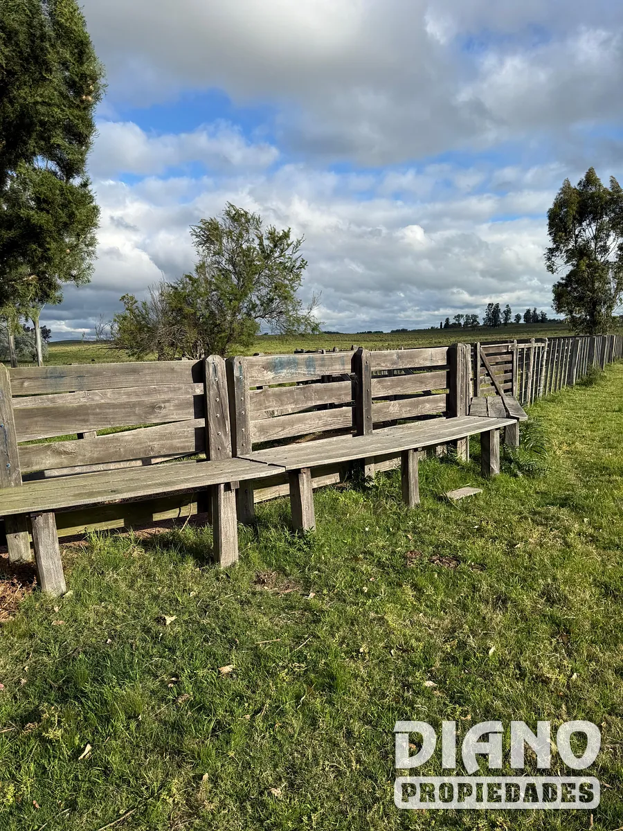 Campo agrícola, Estación Solís