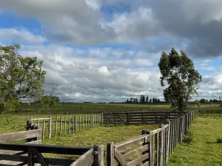 Campo agrícola, Estación Solís