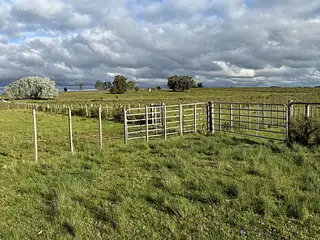 Campo agrícola, Estación Solís