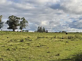 Campo agrícola, Estación Solís