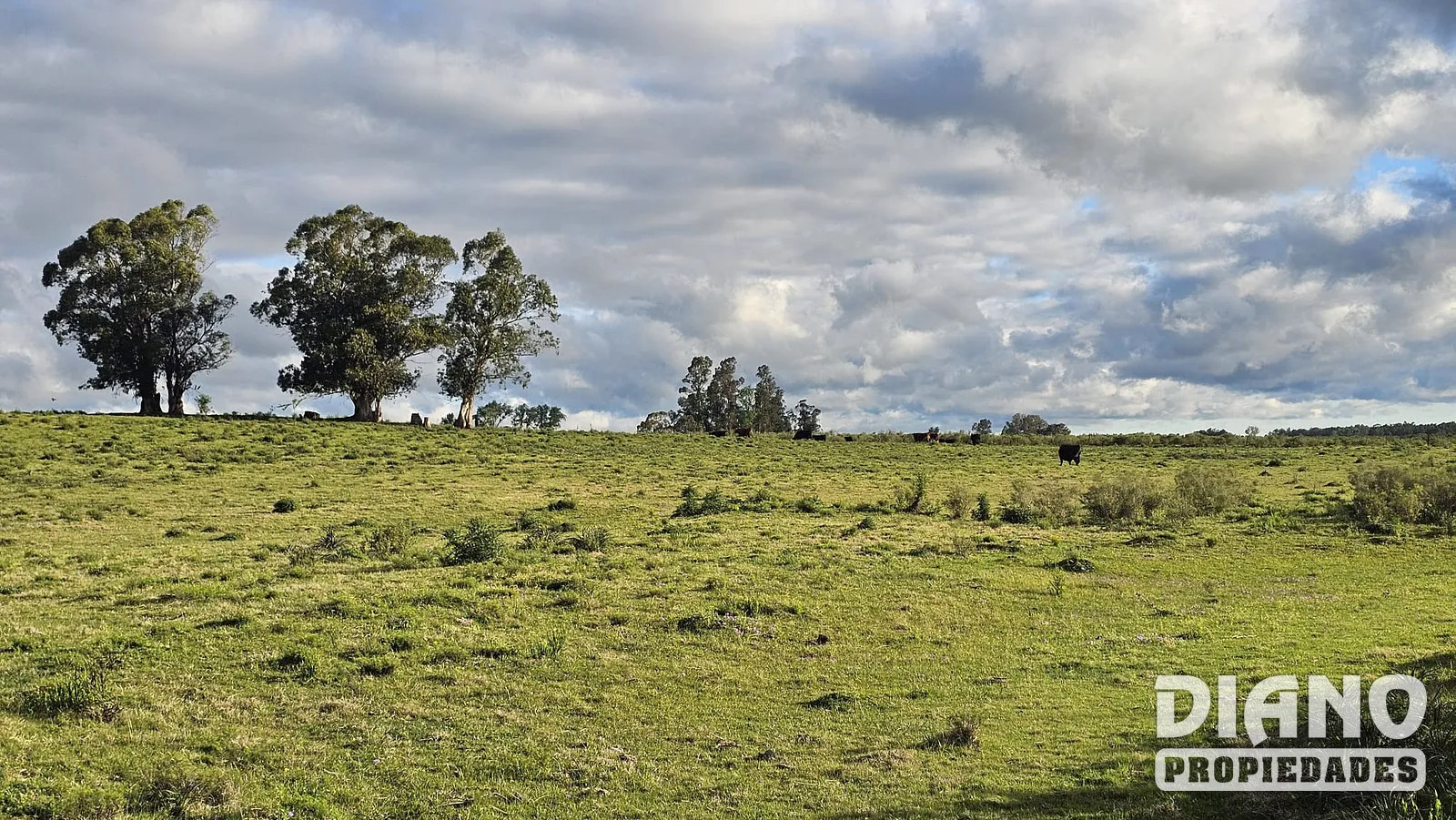 Campo agrícola, Estación Solís