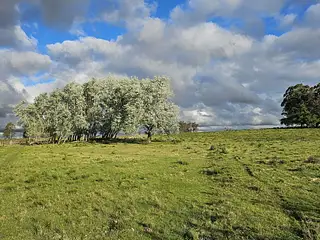 Campo agrícola, Estación Solís