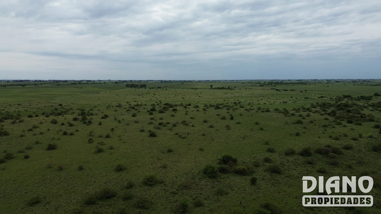Excelente Campo, Río Santa Lucía