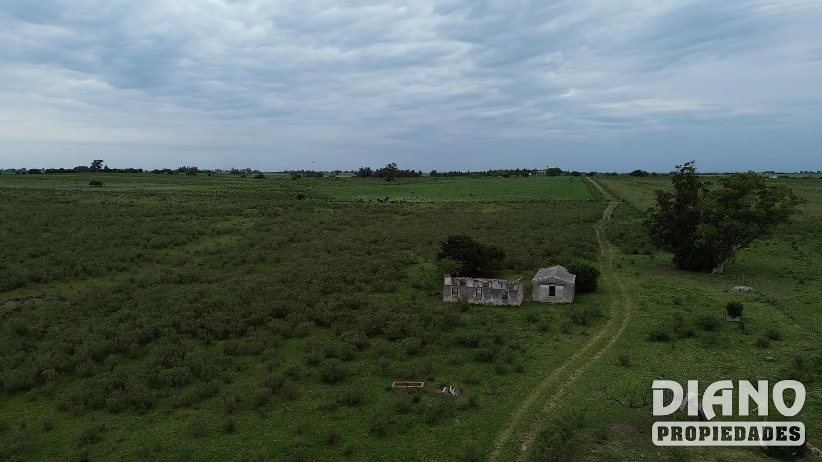 Excelente Campo, Río Santa Lucía