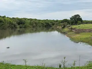 Excelente Campo, Río Santa Lucía