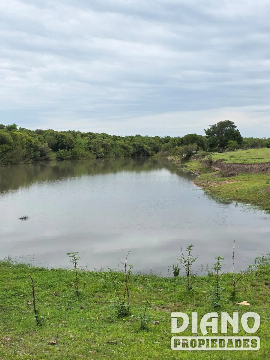 Excelente Campo, Río Santa Lucía