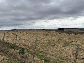 Establecimiento en Retamosa