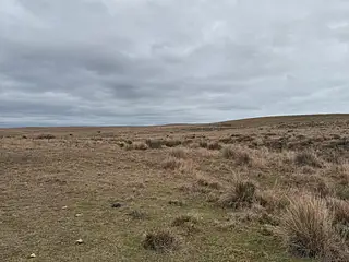 Establecimiento en Retamosa
