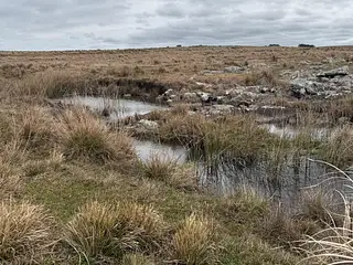Establecimiento en Retamosa