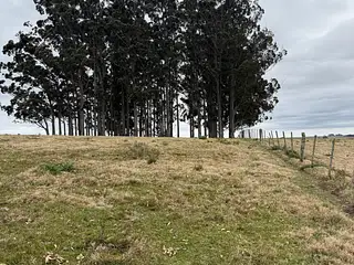 Establecimiento en Retamosa