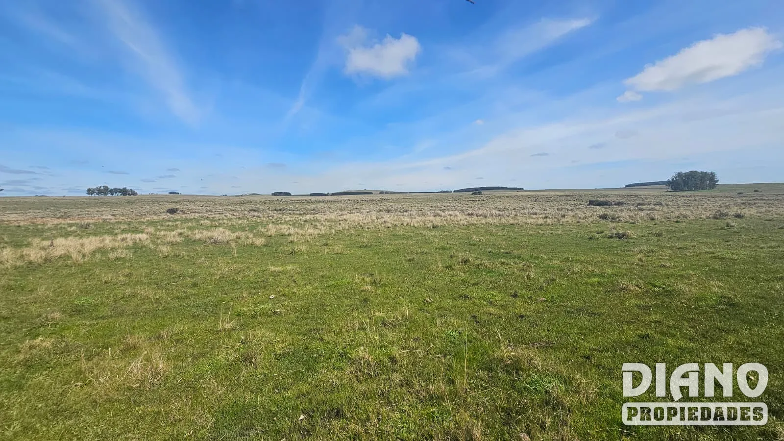 Excelente campo agrícola, Poblado Colón