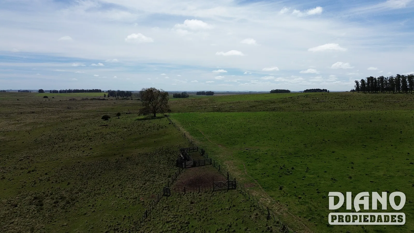 Excelente campo agrícola, Poblado Colón