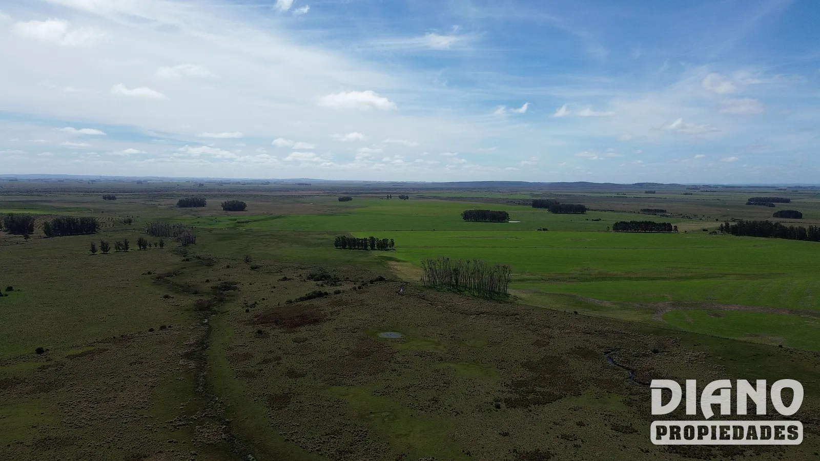 Excelente campo agrícola, Poblado Colón