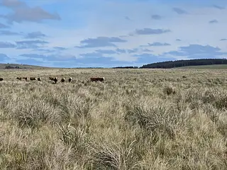 Excelente campo agrícola, Poblado Colón