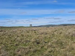 Excelente campo agrícola, Poblado Colón