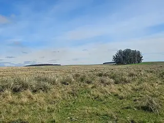 Excelente campo agrícola, Poblado Colón