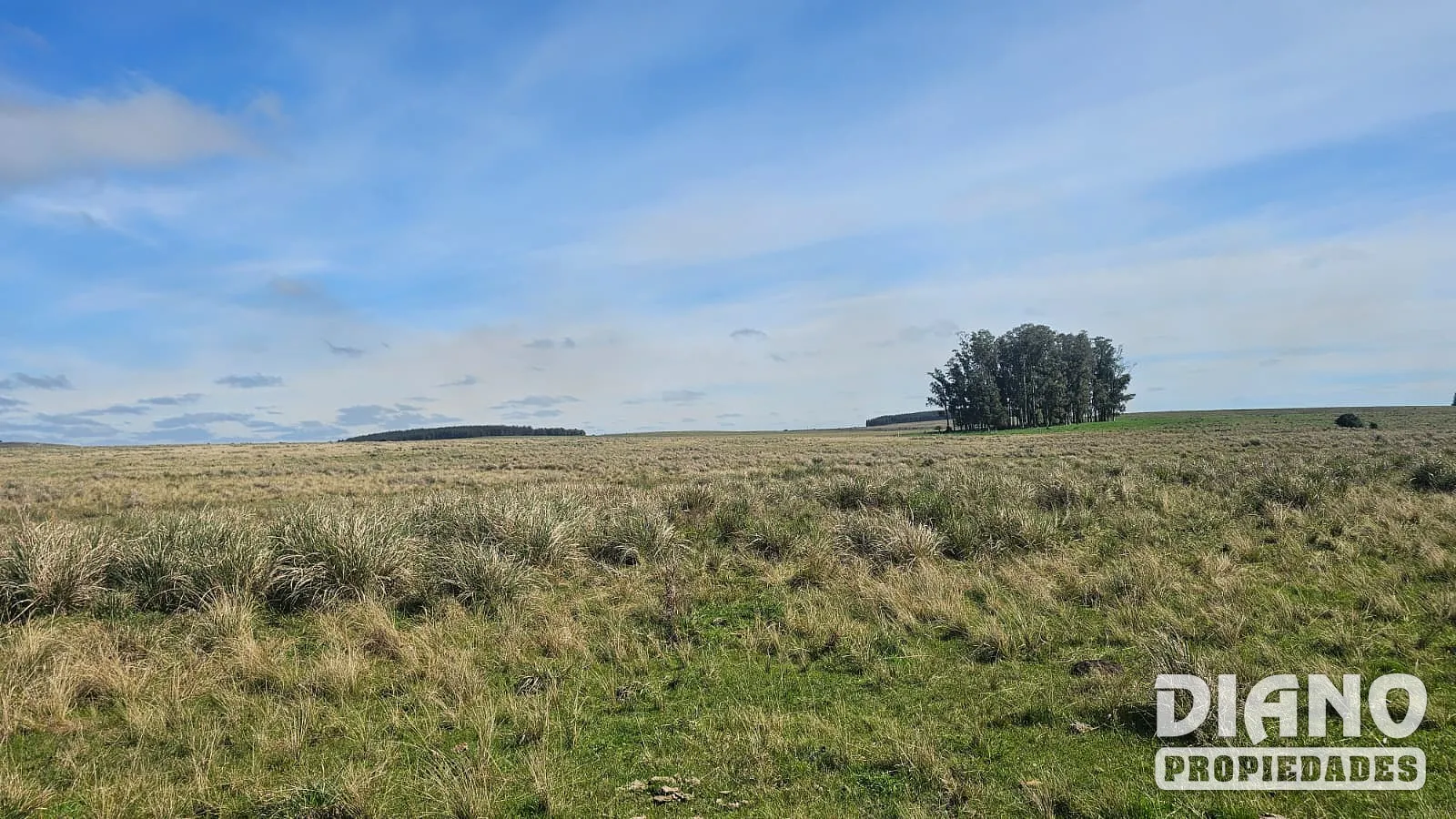 Excelente campo agrícola, Poblado Colón