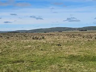 Excelente campo agrícola, Poblado Colón
