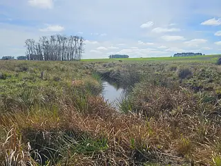 Excelente campo agrícola, Poblado Colón