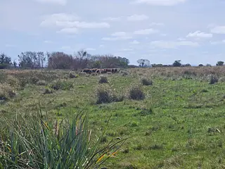 Excelente campo agrícola, Poblado Colón